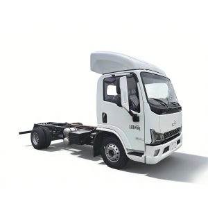 BEV 4X2 Light Truck